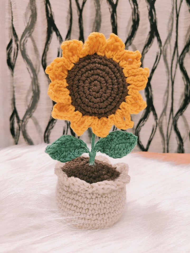 Crochet pot